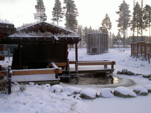cold plunges and saunas